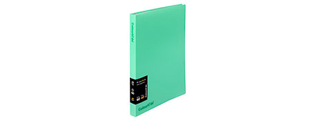 COLOURHIDE A4 40 PAGE GREEN DISPLAY BOOK FOR OFFICE & SCHOOL