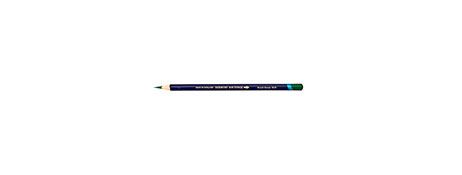 DERWENT INKTENSE PENCILS - BEECH GREEN | VIBRANT INK EFFECTS