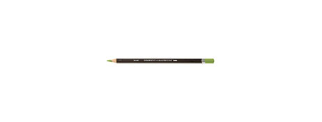 GRAPHITINT WATER-SOLUBLE GRAPHITE PENCIL - MEADOW COLOUR